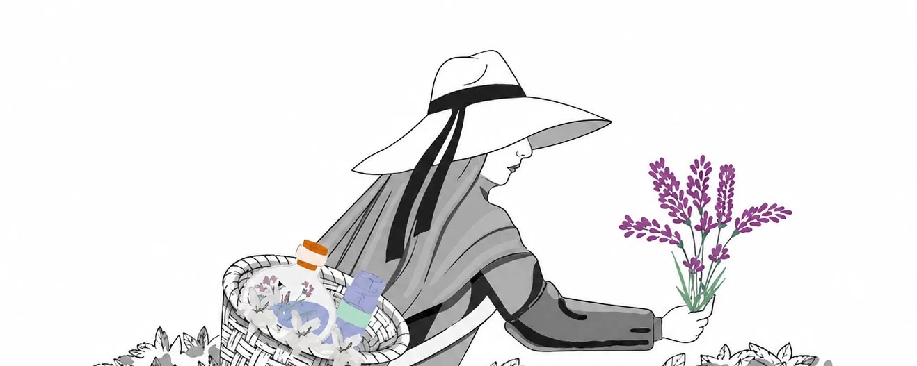 Z.garden banner