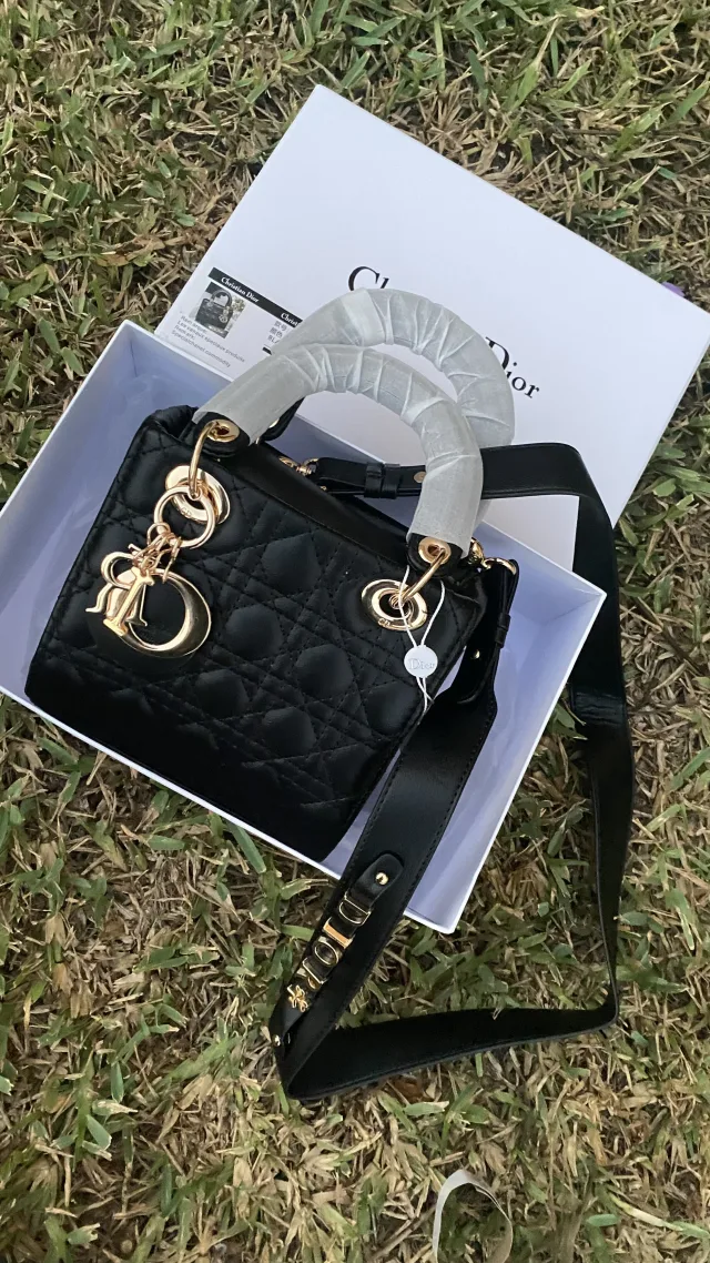 Cristian dior bag