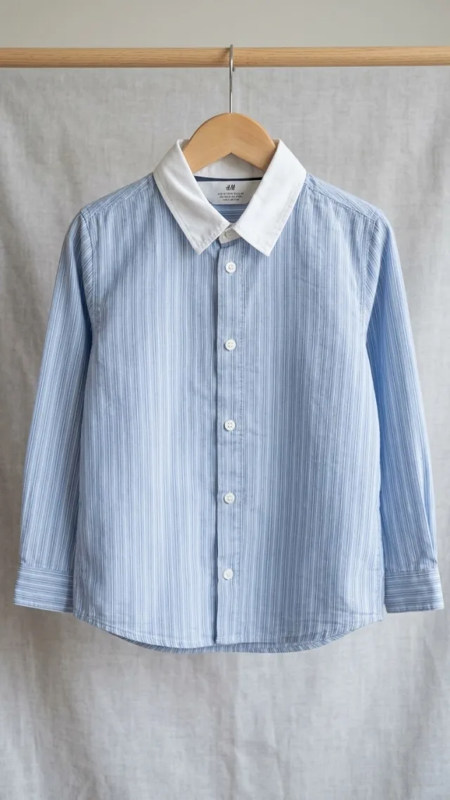 H&M Blue Striped Shirt