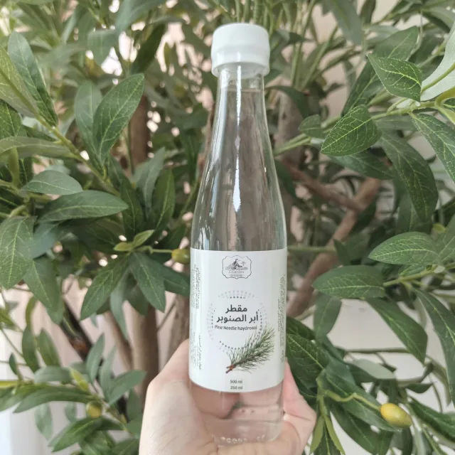 مقطر إبر الصنوبر